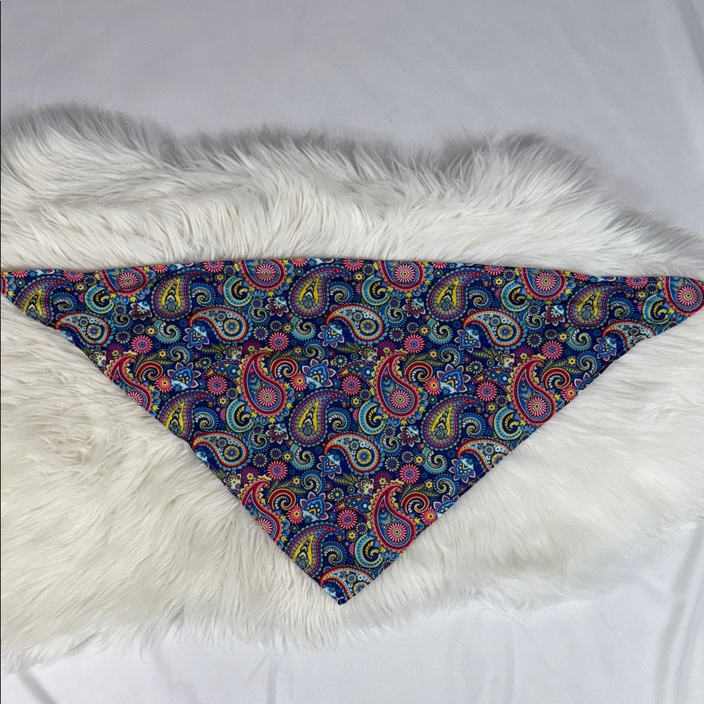 Colorful Paisley Dog Bandana